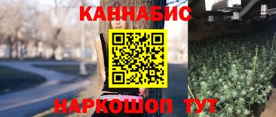 МДПВ Камышлов