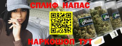 МДПВ Камышлов