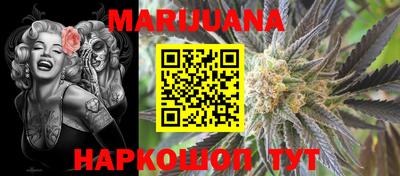 МДПВ Камышлов