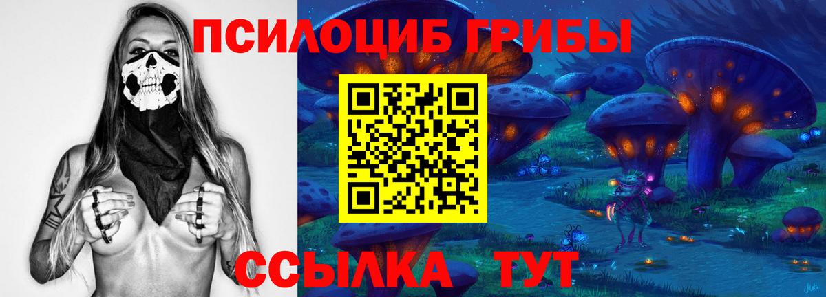 Псилоцибиновые грибы Psilocybe  сколько стоит  Красноуфимск  Вход с VPN 